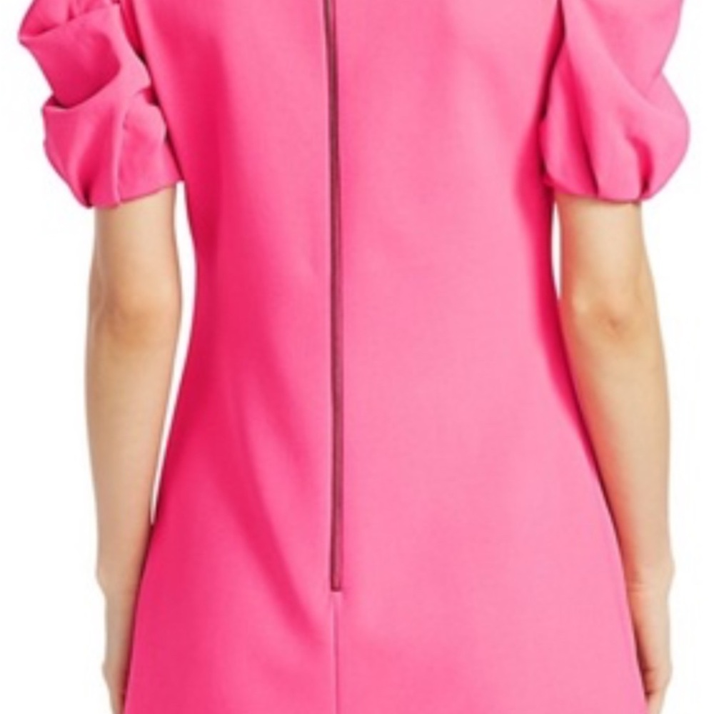Alice and Olivia Hanita Dress